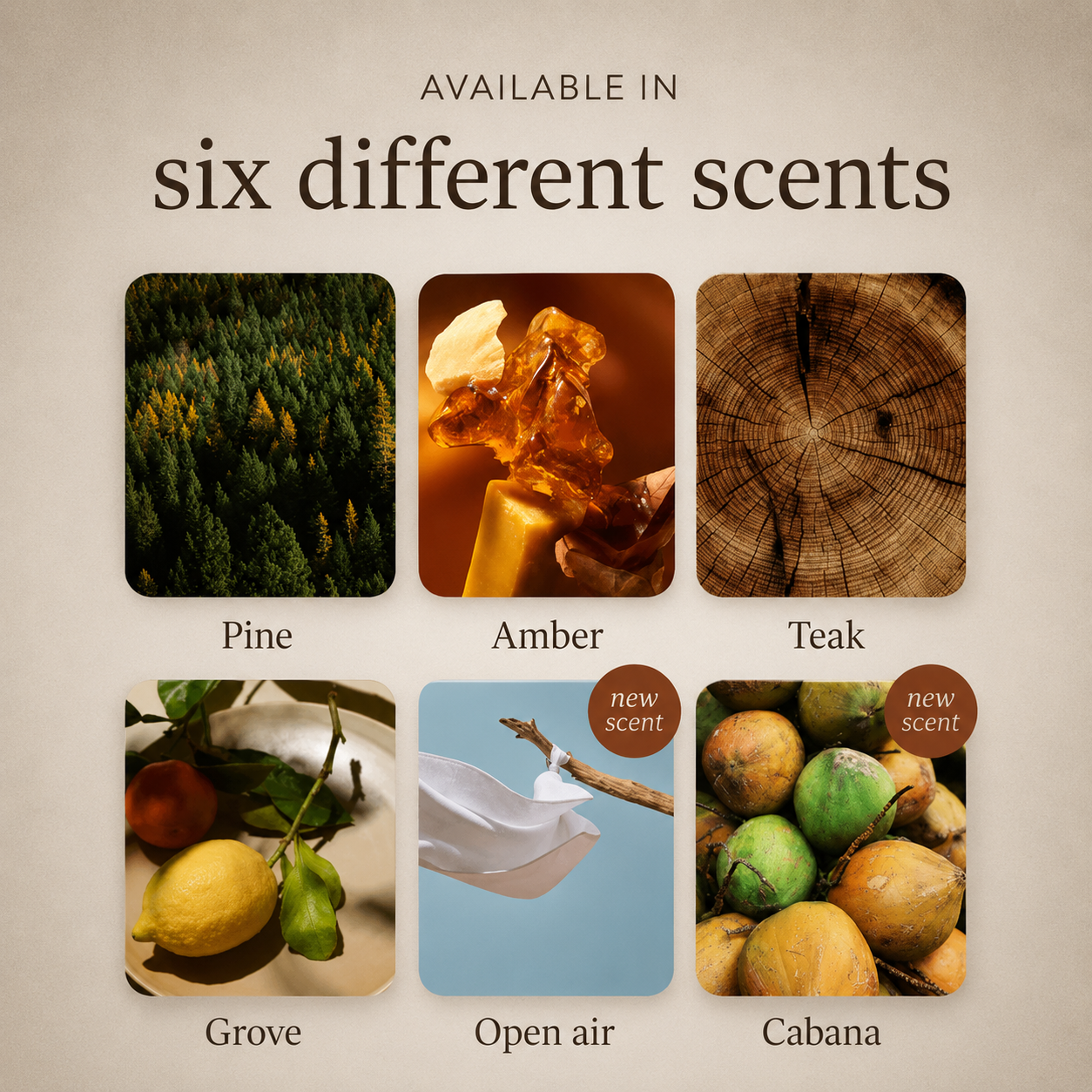 Wood drift | Wooden car perfume | eco-friendly aroma kit for cars| Inspired by nature